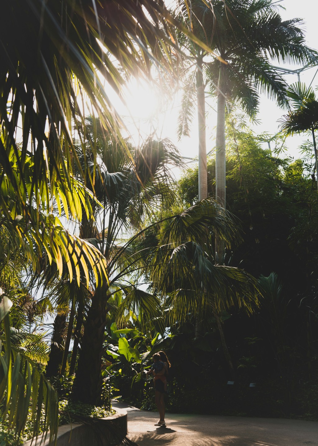 Discover Cornwall’s Best Attractions This Half&nbsp;Term